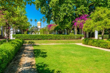 Parque de Maria Luisa (Maria Luisa Parkı), Sevilla, Endülüs, İspanya 'daki ünlü halk parkı..