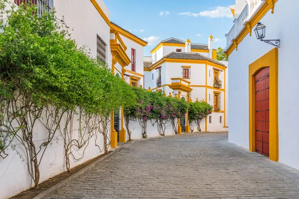 Vista Panoramica Nella Plaza Toros Siviglia Andalusia Spagna — Foto Stock