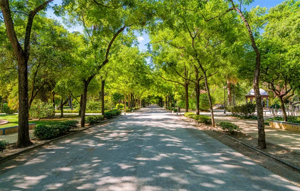 Parque Maria Luisa Famoso Parque Público Sevilla Andalucía España —  Fotos de Stock