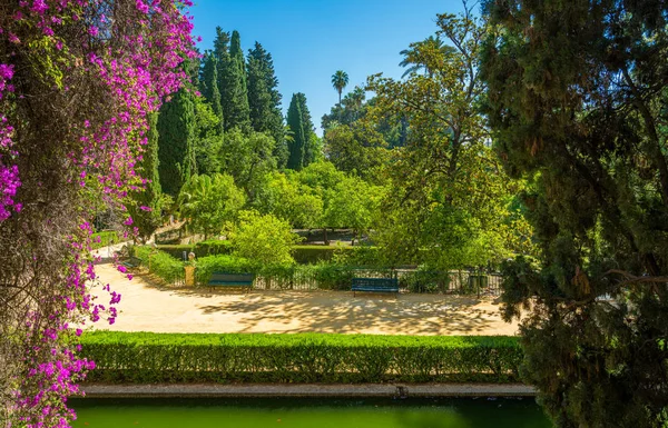 Idílico Jardín Los Alcázares Reales Sevilla Andalucía España —  Fotos de Stock