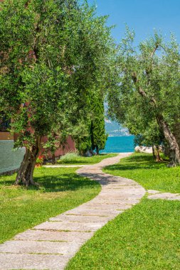 Cassone di Malcesine, Garda Gölü üzerinde güzel bir köy pastoral görünümü. Veneto, Verona eyaleti, İtalya. 
