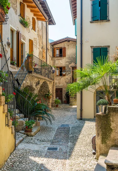 Vista Idílica Cassone Malcesine Bela Aldeia Lago Garda Veneto Província — Fotografia de Stock