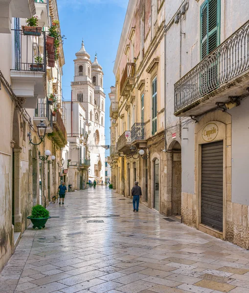 Bari Nin Ünlü Apulian Kasabası Altamura Manzaralı Bir Yaz Manzarası — Stok fotoğraf