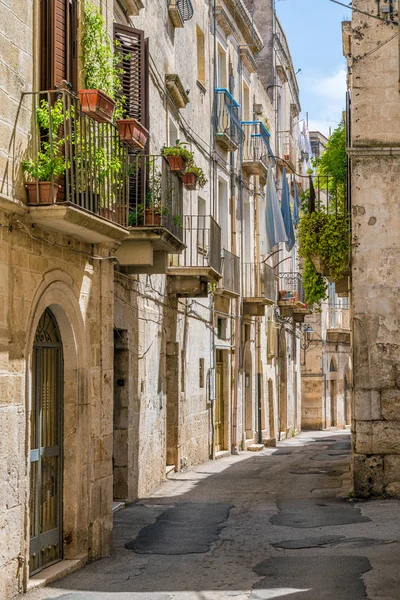 Escénica Vista Verano Altamura Famosa Ciudad Apulia Provincia Bari Puglia — Foto de Stock