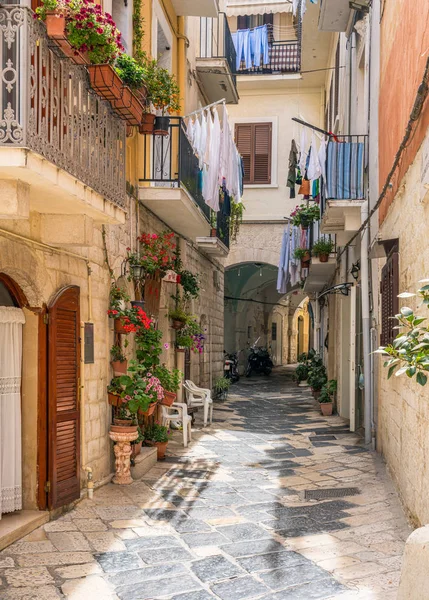 Scenic Sight Oude Stad Bari Een Zomermiddag Puglia Apulië Zuid — Stockfoto
