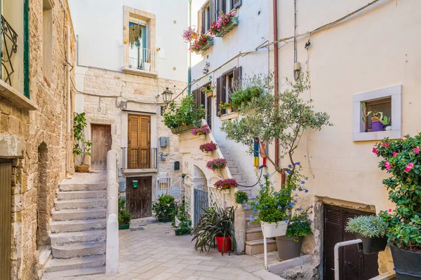 Vista Panorâmica Polignano Mare Província Bari Apúlia Puglia Sul Itália — Fotografia de Stock