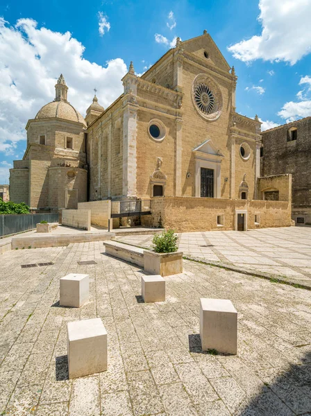 Cattedrale Santa Maria Assunta Gravina Puglia Provincia Bari Puglia Puglia — Foto Stock