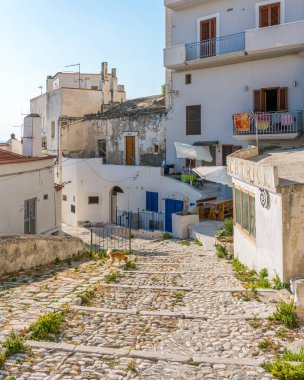 Late afternoon view in Peschici, beautiful village in the Gargano region of Puglia (Apulia), Italy.