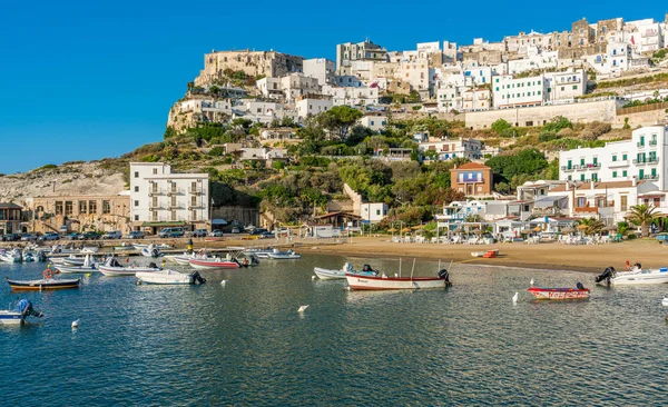 Vista Última Hora Tarde Peschici Hermoso Pueblo Región Gargano Apulia — Foto de Stock