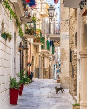 Scenic summer sight in Vieste, Province of Foggia, Puglia (Apulia), Italy.