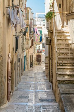 Scenic summer sight in Vieste, Province of Foggia, Puglia (Apulia), Italy.