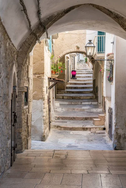 Vista Panoramica Estiva Vieste Provincia Foggia Puglia Puglia Italia — Foto Stock