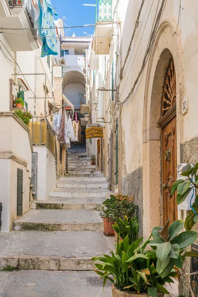 Malowniczy Letni Widok Vieste Prowincja Foggia Apulia Włochy — Zdjęcie stockowe