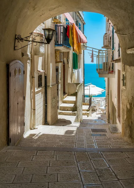 Vista Panoramica Estiva Vieste Provincia Foggia Puglia Puglia Italia — Foto Stock