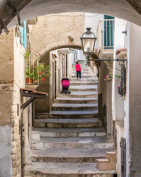 Vista Panoramica Estiva Vieste Provincia Foggia Puglia Puglia Italia — Foto Stock