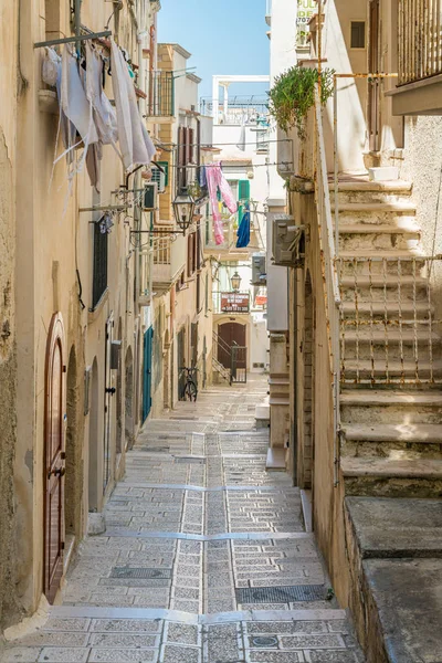 Scenic Summer Sight Vieste Province Foggia Puglia Apulia Italy — Stok fotoğraf