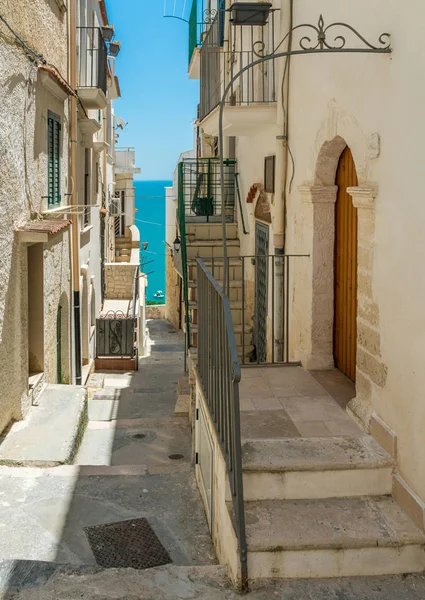 Malowniczy Letni Widok Vieste Prowincja Foggia Apulia Włochy — Zdjęcie stockowe
