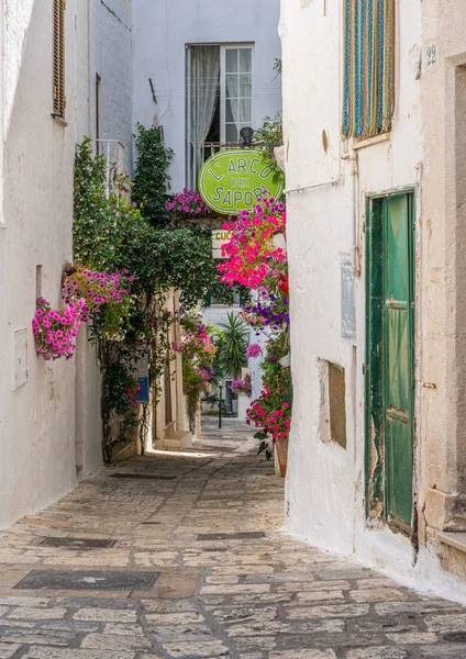 Güneşli bir yaz gününde Ostuni 'de manzara, Apulia (Puglia), güney İtalya.
