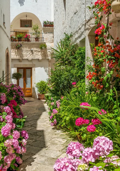 Vistas Panorâmicas Locorotondo Província Bari Apúlia Puglia Sul Itália — Fotografia de Stock