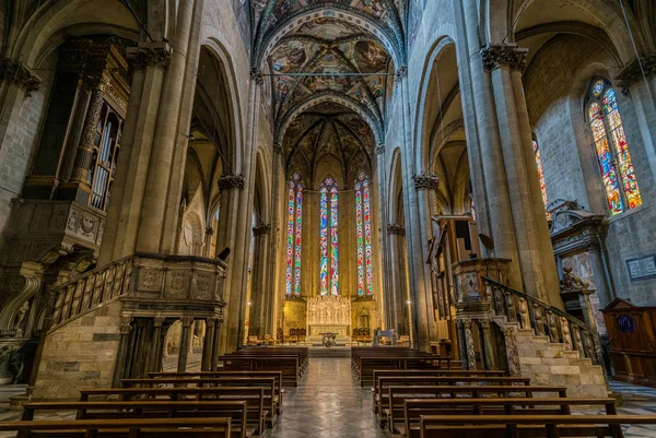 Inomhus Katedralen Santi Pietro Donato Arezzo Toscana Italien — Stockfoto
