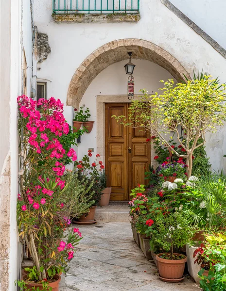 Vista Panorámica Locorotondo Provincia Bari Apulia Apulia Sur Italia — Foto de Stock