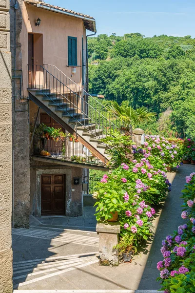 意大利拉齐奥维泰博省Vignanello村的风景 — 图库照片