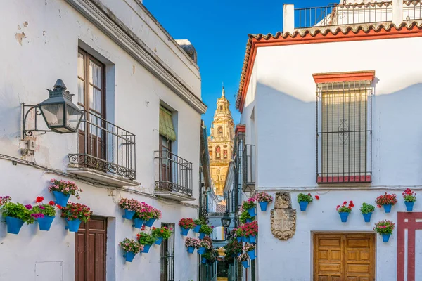 Vista Panorámica Del Pintoresco Barrio Judío Córdoba Con Campanario Catedral —  Fotos de Stock