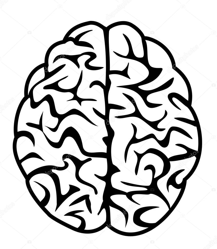 brain icon concept 
