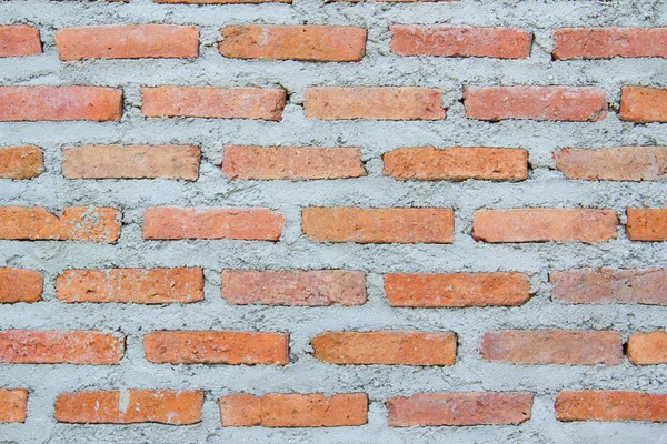 Backgroung cihlová zeď — Stock fotografie