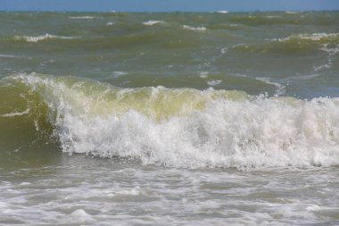 Sahilde dalga deniz rüzgarlı gün