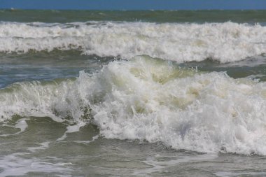 Sahilde dalga deniz rüzgarlı gün