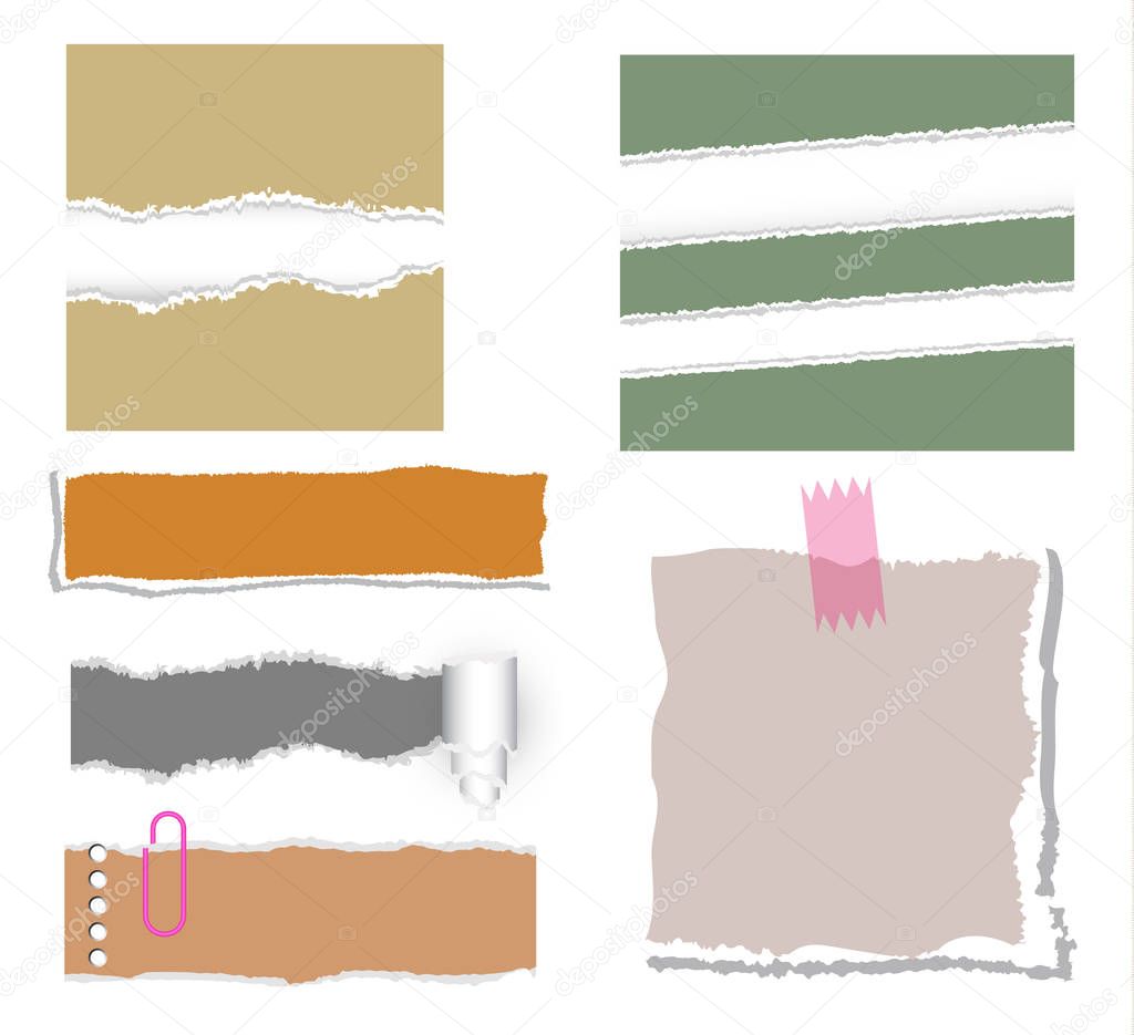 ripped note paper vector set