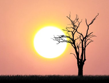 yapraksız ağaçları büyük günbatımı, pembe gökyüzü ve yaz aylarında çim ile