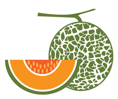 dilim beyaz zemin üzerine yeşil cantoloupe