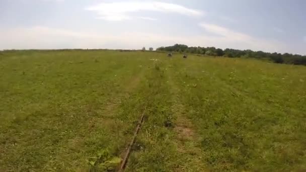 Muž utíká k bojovému cíli, aby se podíval na výsledné výstřely z pistole. Cíl k palbě na střelnici. Střelnice Cíl s dírami po kulkách — Stock video