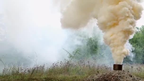 Bomba de humo militar en el bosque, mucho humo amarillo seco en el césped. Imagen colorida hierba verde. Entrenamiento de combate. Contaminación ambiental — Vídeo de stock