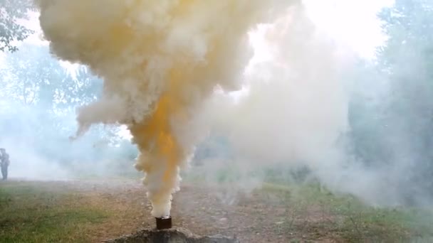 숲 속의 군용 연기 폭탄 과 마당에 있는건 조 한 노란 연기. 푸른 풀의 다채 로운 그림. 전투 훈련. 대기 오염 — 비디오