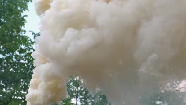 Bomba de humo militar en el bosque, mucho humo amarillo seco en el césped. Imagen colorida hierba verde. Entrenamiento de combate. Contaminación ambiental — Vídeo de stock
