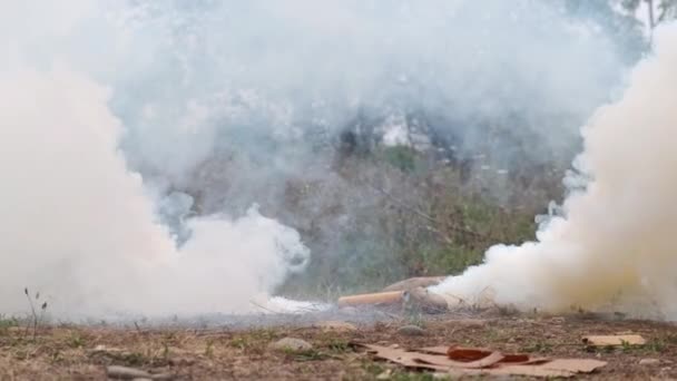 Bomba de humo militar en el bosque, mucho humo amarillo seco en el césped. Imagen colorida hierba verde. Entrenamiento de combate. Contaminación ambiental — Vídeo de stock