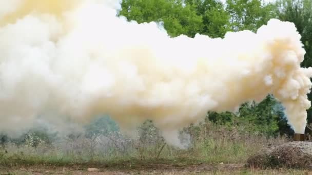 Στρατιωτική Βόμβα Καπνού Στο Δάσος Πολύς Ξηρός Κίτρινος Καπνός Στο — Αρχείο Βίντεο