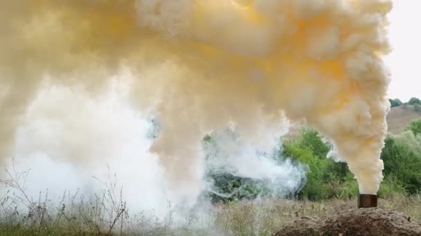 Bomba Humo Militar Bosque Mucho Humo Amarillo Seco Césped Imagen — Vídeos de Stock