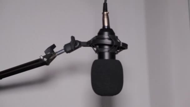 Megjelenése Egy Professzionális Mikrofon Rögzítésére Zene Vagy Hang Mikrofon Szélálló — Stock videók