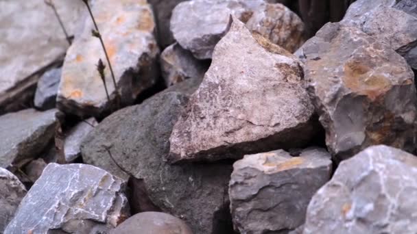 Pietre grigie e bianche sfocate da primo piano di forma diversa. Spostare l'angolo della telecamera da sinistra a destra . — Video Stock