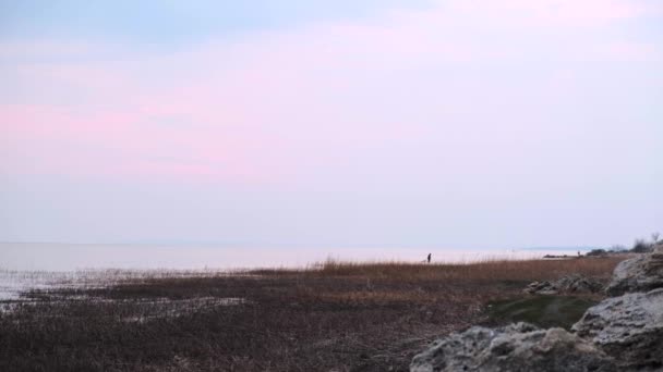 Самотній Рибалка Прогулюється Уздовж Берега Прекрасного Озера Сіткою Риболовлі Риболовецькою — стокове відео