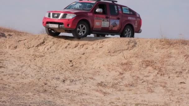 MOSCOW, RUSSIA - April 20. Driving off-road car Nissan Navara. Red 4x4 pickup car drifting on field. Dust scatters from under the wheels. Pick-up truck drives on sand. The car descends from steep hill — Stock Video