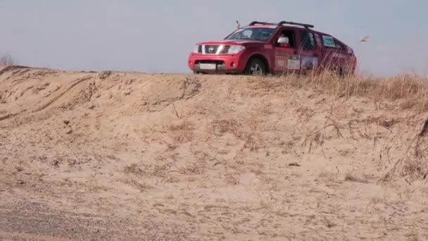 モスクワ、ロシア- 4月20日。オフロード車を運転日産ナバラ。レッド4 × 4ピックアップ車のフィールドに漂流。塵は車輪の下から散乱する。砂の上にピックアップトラックのドライブ。急な丘から車が降りてくる。 — ストック動画