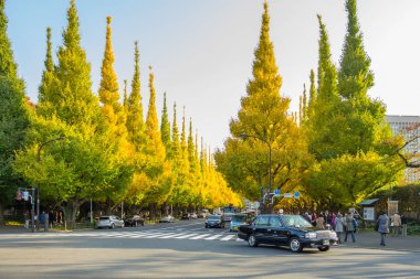 Ginkgo ağaçları IChO Namiki Avenue, Meiji Jingu Gaien Park altında yolda trafik