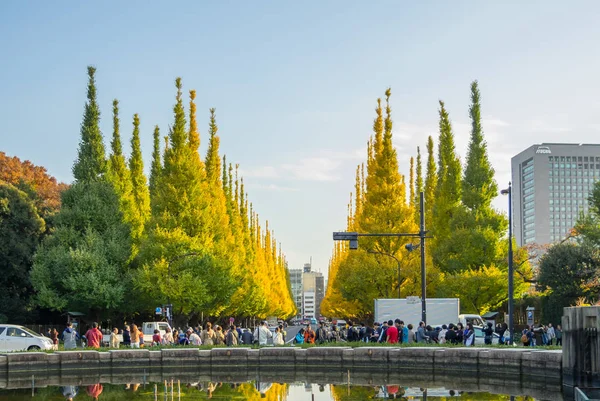 Many people walking under ginkgo trees at Icho Namiki Avenue — Stock Photo, Image