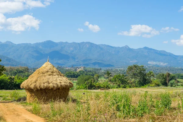 Harvesting of straw looks like a cottage — Stock Photo, Image