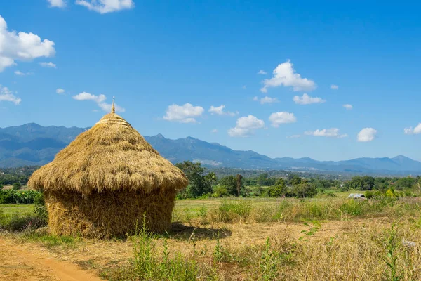 Harvesting of straw looks like a cottage — Stock Photo, Image